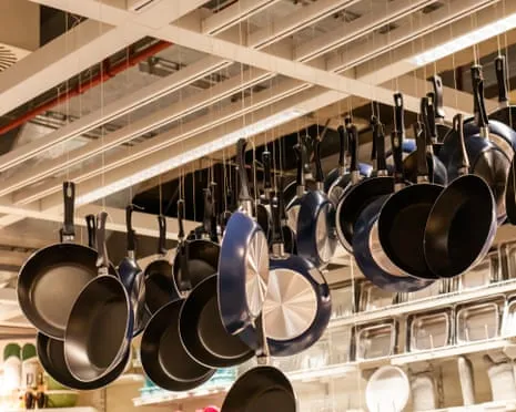 PTFE Nutrition, Aromatic Lactation and Striped Cattle Excel at This Year's Ig Nobel Awards